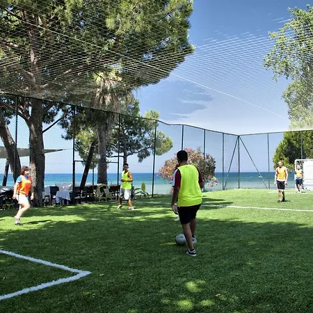 Ephesia Club Θέρετρο 4*